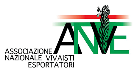 ANVE-logo-copia